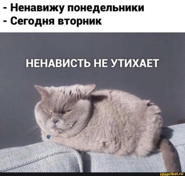 Мемы про вторник