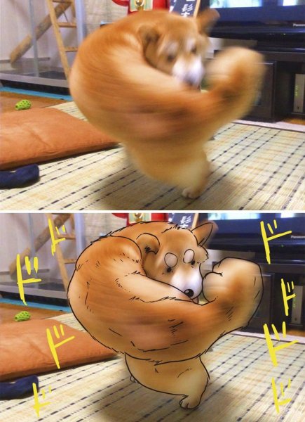 Накаченные животные мемы