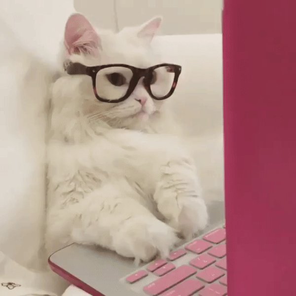 Кошечка в очках