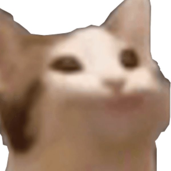 Кот открывает рот Мем