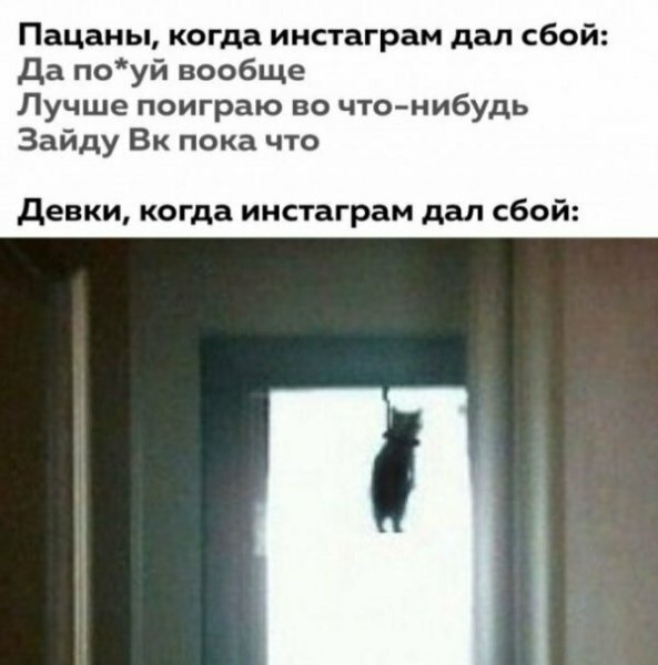 Кот повесился Мем