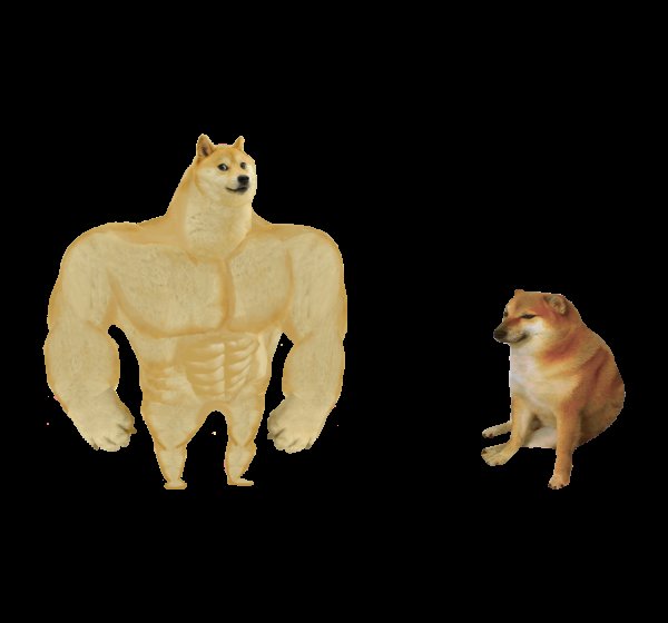 Собака качок Мем