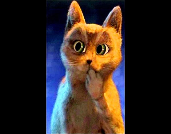 Уживленнф йкот из кота в сапогах