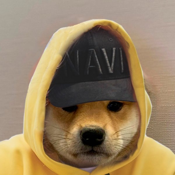 Собака в шапке