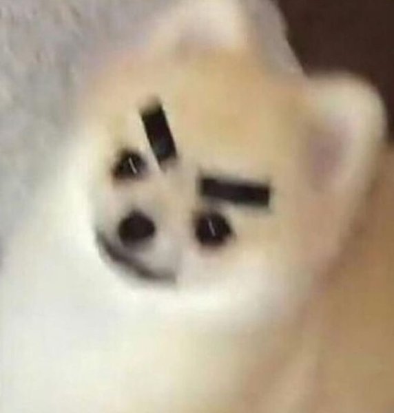 Мемы с животными