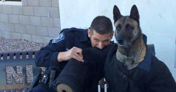 Собака мент