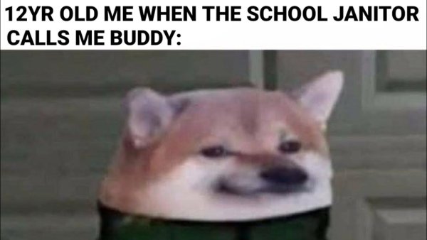 Собака в адидасе Мем