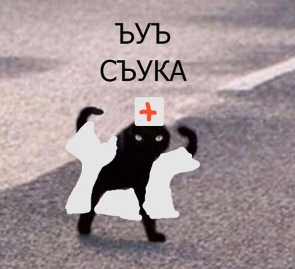 Мем с котом ЪУЪ