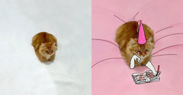 Котенок стоит Мем