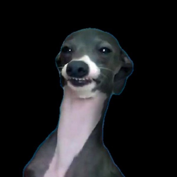 Кермит Джена Марблс