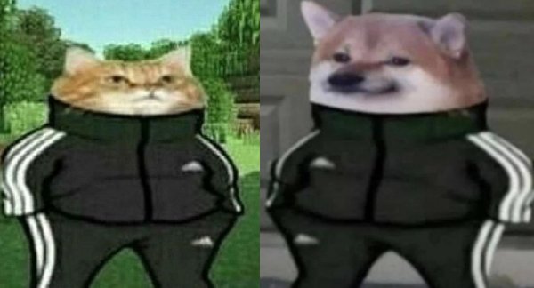 Собака гопник