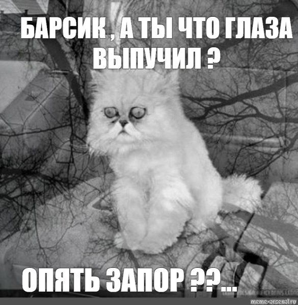 Кот волнуется Мем