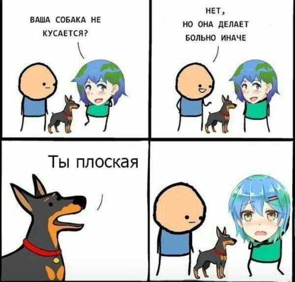 Ваша собака кусается нет она делает