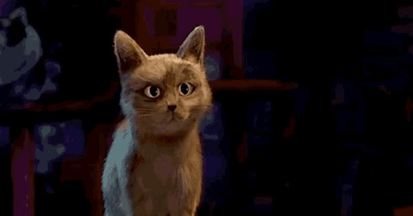 Кот из Шрека ОУ