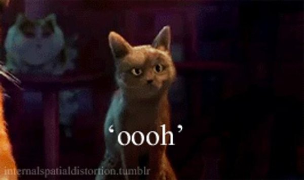 Кот в сапогах