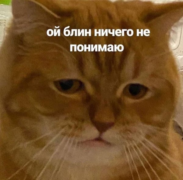 Кот ничего не понимает Мем