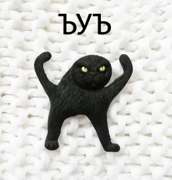Мем с котом ЪУЪ