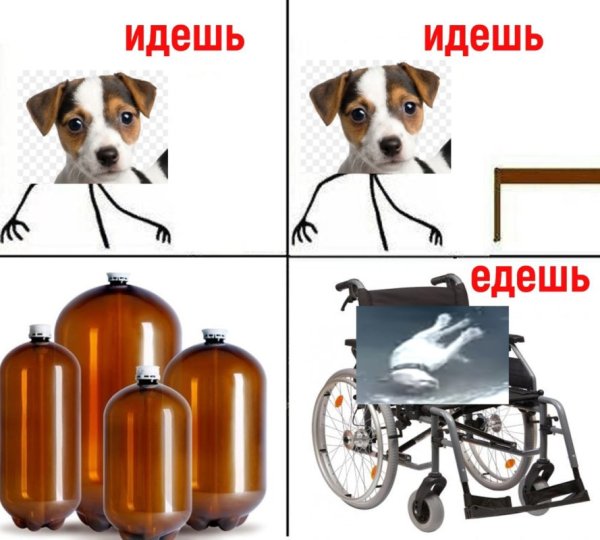 Собака из мема с кегой