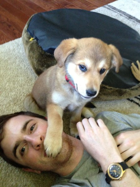 Молчи щенок