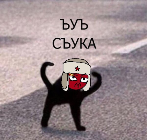 Мем с котом ЪУЪ