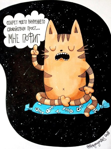 Котик рисунок