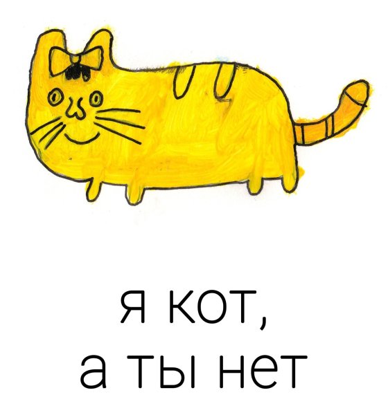 Кот Мем