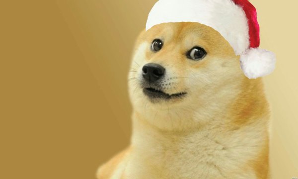 Doge с новогодней шапкой