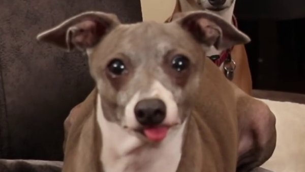 Кермит Дженна Марблс