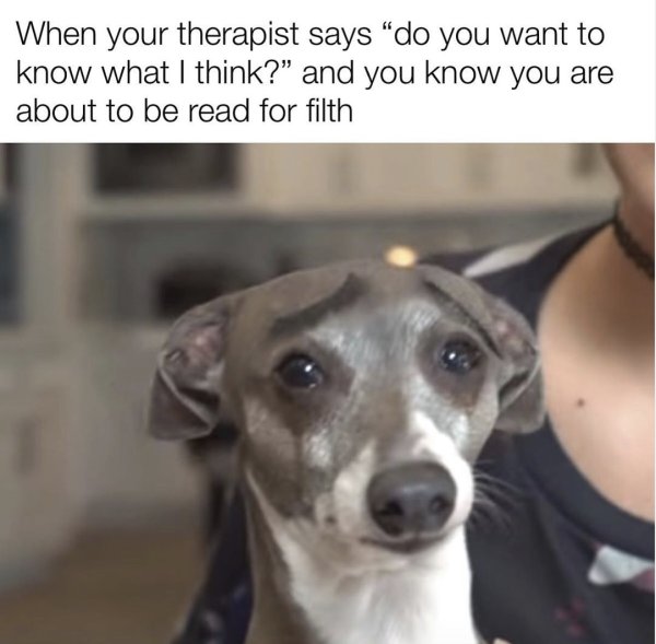 Собака кермит