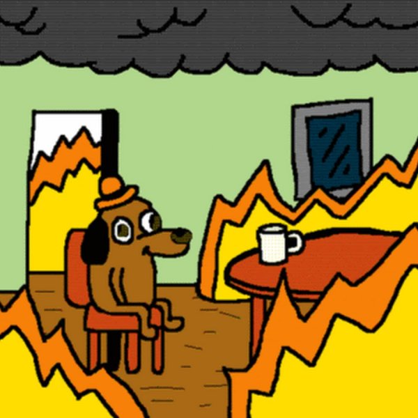 Собака горит в доме