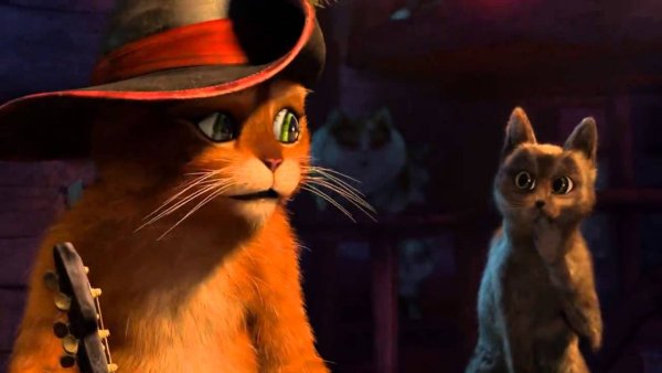 Кот в сапогах и киса мягколапка