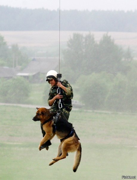 Кинолог с собакой