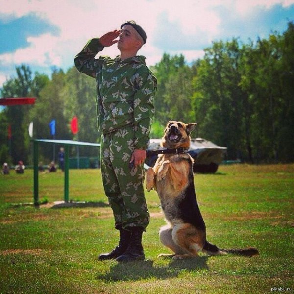 Кинолог в армии