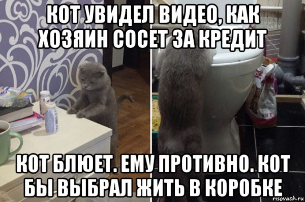 Кот рыгает Мем