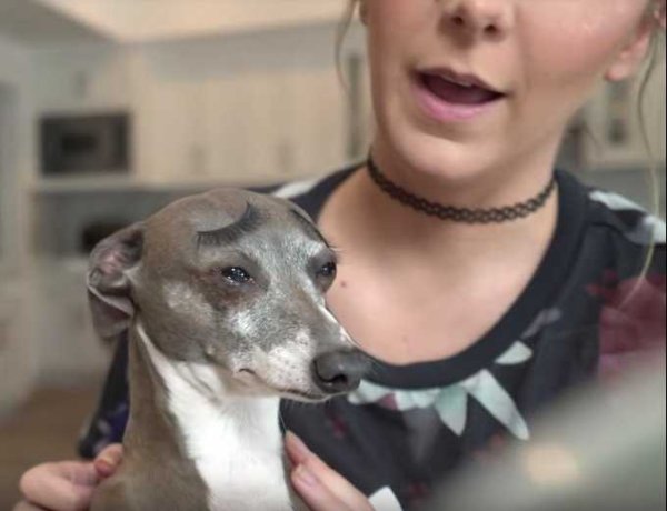 Кермит Дженна Марблс