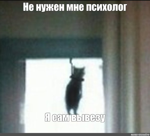Котенок повесился Мем