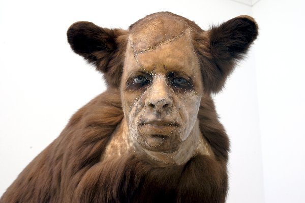 Кейт Кларк Таксидермия