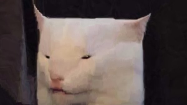 Белый кот плачет