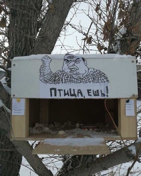 Смешные кормушки