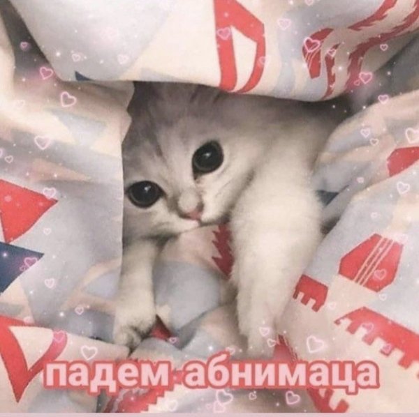 Милые фоточки с надписями