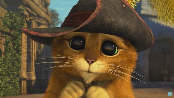 Кот из Шрека