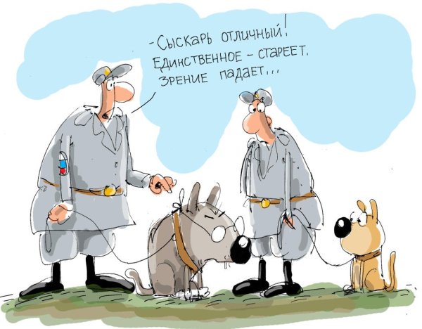 День кинолога прикол