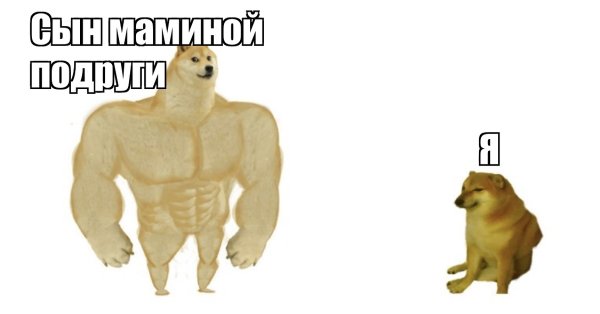 Две собаки большая и маленькая