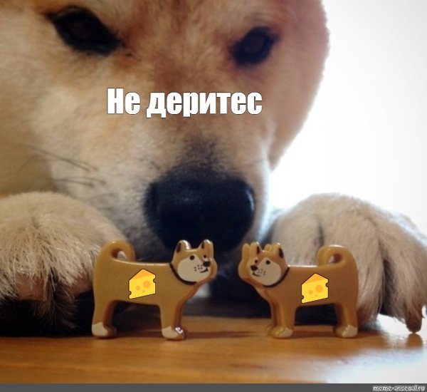 Сиба ебитес