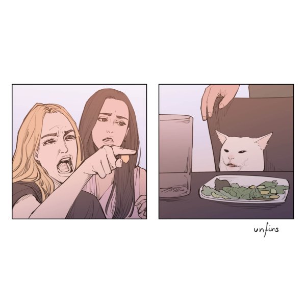 Мемы с котом и девушками