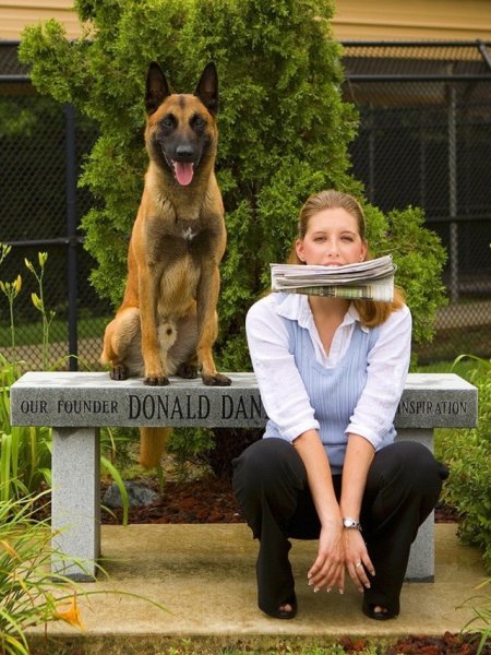 Дрессировка собак юмор