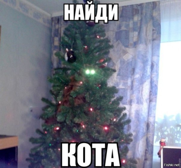 Елка прикол