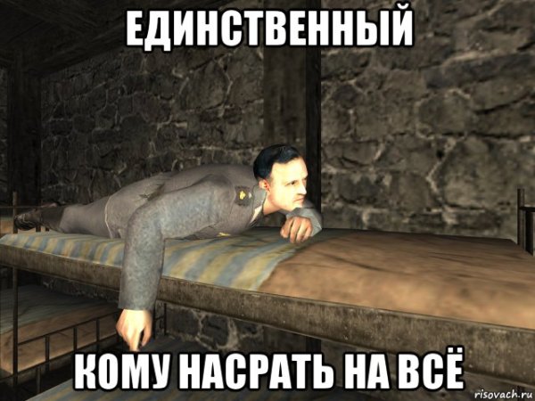 Кот пофигист Мем