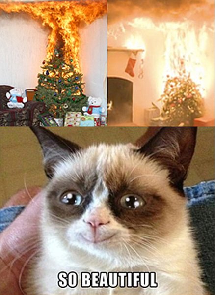 Кот и елка Мем