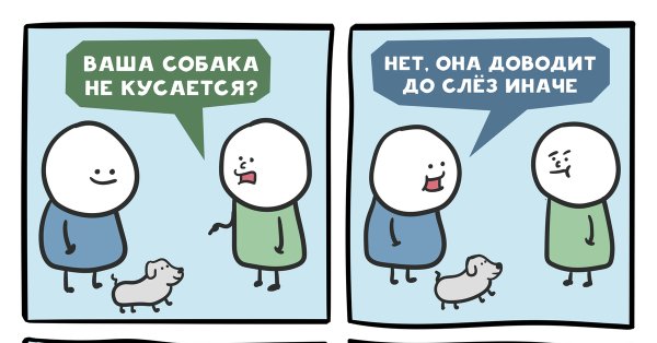 Шаблон ваша собака кусается
